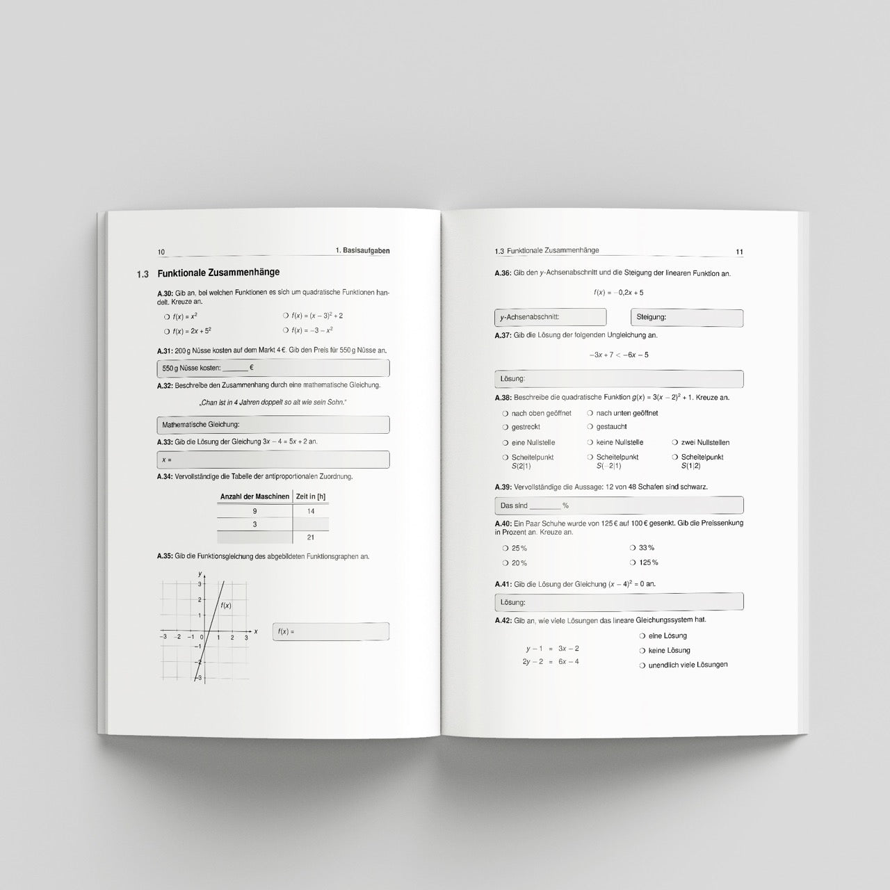 Mathe Prüfungsvorbereitung - Mittlerer Schulabschluss