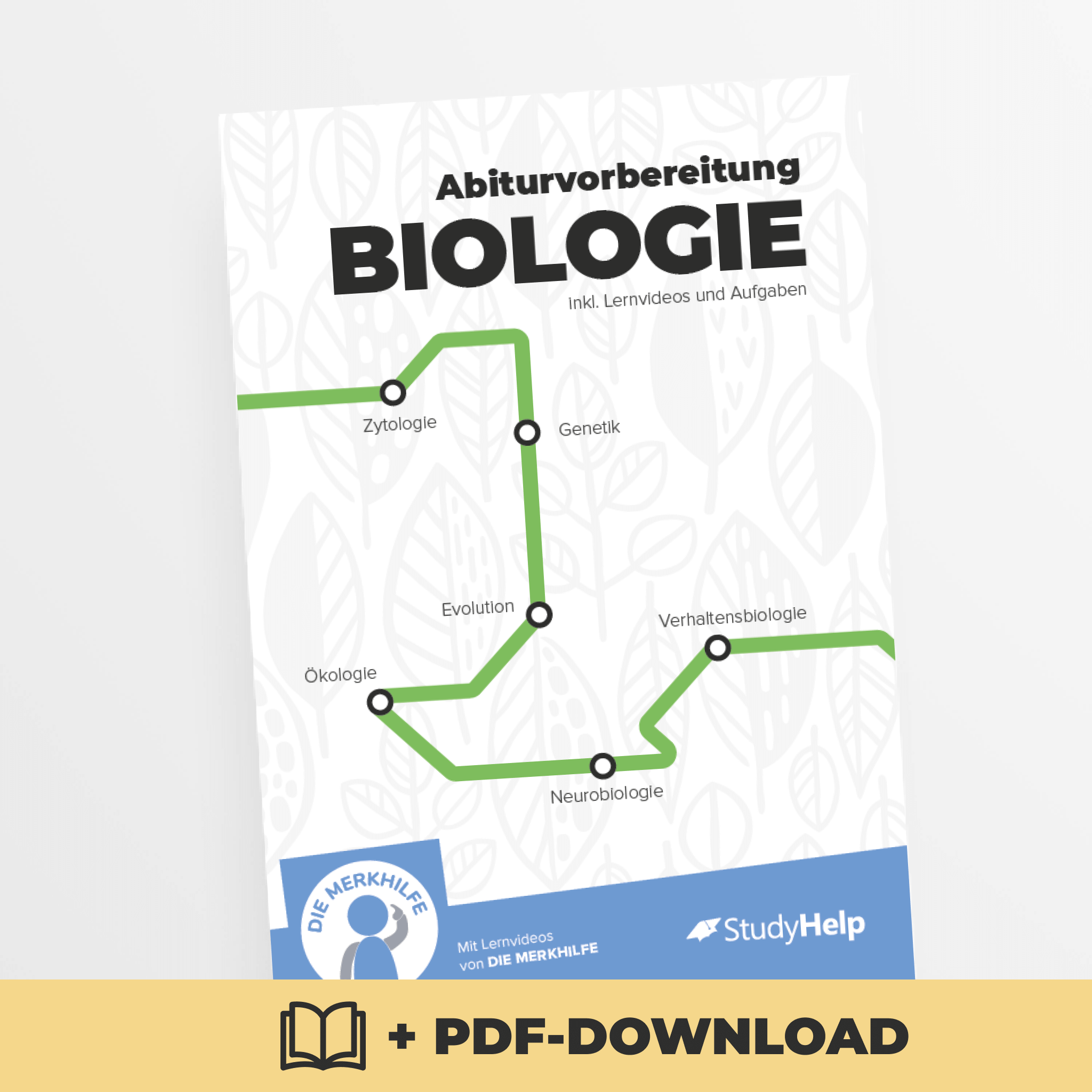 Lernheft Abiturvorbereitung Biologie - Buch